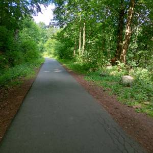 Borowy Jar w Dolinie Bobru - borowy jar w dolinie bobru 16