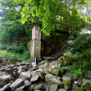 Borowy Jar w Dolinie Bobru - borowy jar w dolinie bobru 23