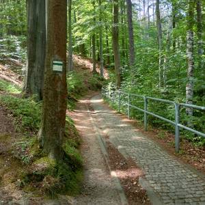 Borowy Jar w Dolinie Bobru - borowy jar w dolinie bobru 4