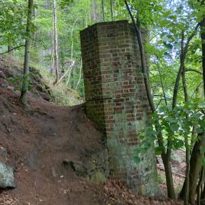 Borowy Jar w Dolinie Bobru - borowy jar w dolinie bobru 46