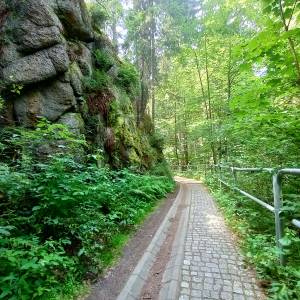 Borowy Jar w Dolinie Bobru - borowy jar w dolinie bobru 5