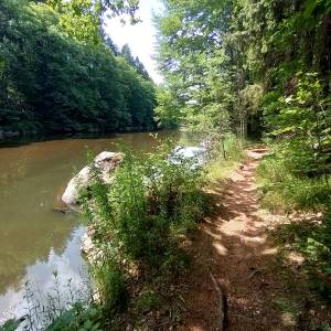 Borowy Jar w Dolinie Bobru - borowy jar w dolinie bobru 56