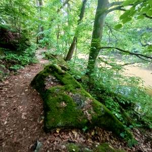 Borowy Jar w Dolinie Bobru - borowy jar w dolinie bobru 58