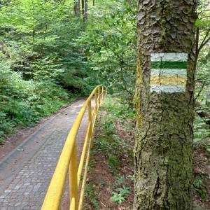 Borowy Jar w Dolinie Bobru - borowy jar w dolinie bobru 6