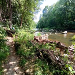 Borowy Jar w Dolinie Bobru - borowy jar w dolinie bobru 62