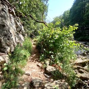 Borowy Jar w Dolinie Bobru - borowy jar w dolinie bobru 65