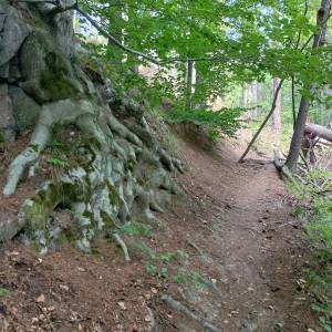 Borowy Jar w Dolinie Bobru - borowy jar w dolinie bobru 8