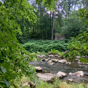 Borowy Jar w Dolinie Bobru - borowy jar w dolinie bobru 9