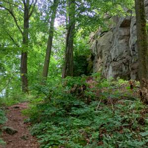 Ruiny zamku Sokolec - ruiny zamku sokolec 1