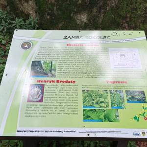 Ruiny zamku Sokolec - ruiny zamku sokolec 10