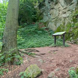 Ruiny zamku Sokolec - ruiny zamku sokolec 12