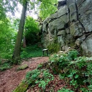 Ruiny zamku Sokolec - ruiny zamku sokolec 14