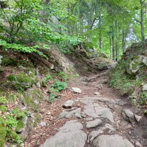 Ruiny zamku Sokolec - ruiny zamku sokolec 2