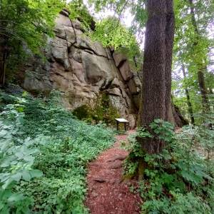 Ruiny zamku Sokolec - ruiny zamku sokolec 3