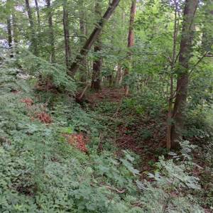 Ruiny zamku Sokolec - ruiny zamku sokolec 4