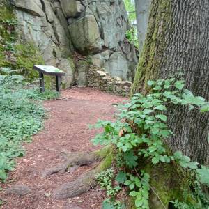 Ruiny zamku Sokolec - ruiny zamku sokolec 5