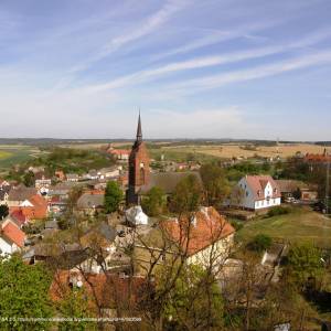 Kościół pw. Narodzenia Najświętszej Maryi Panny w Cedyni - cedynia z wiezy widokowej panoramio