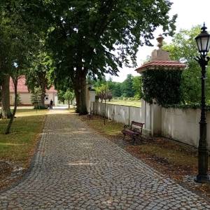 Opactwo Cystersów w Gościkowie-Paradyżu - opactwo cystersow w goscikowie paradyzu 62