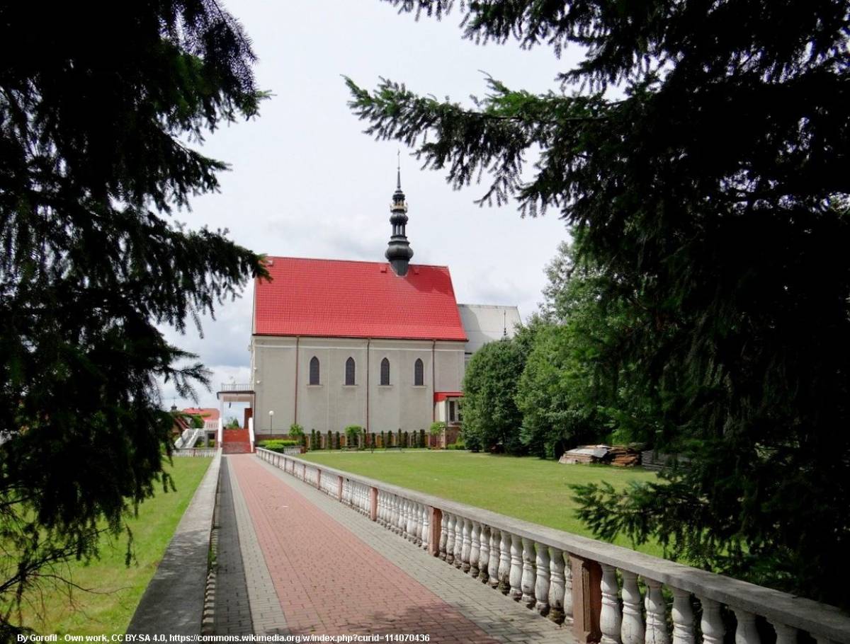 Sanktuarium Matki Bożej Bolesnej Królowej Polski w Kałkowie-Godowie - kalkow sanktuarium maryjne 26