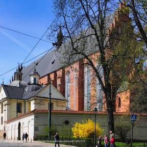 Kościół pw. Świętej Trójcy w Krakowie (ul. Stolarska) - kosciolswietejtrojcy widokodstronyplant ulicastolarska12 pol krakow