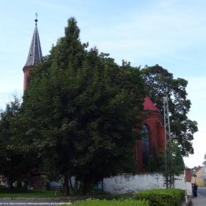 Kościół pw. św. Anny w Otmuchowie - kosciol pw sw anny w otmuchowie 2