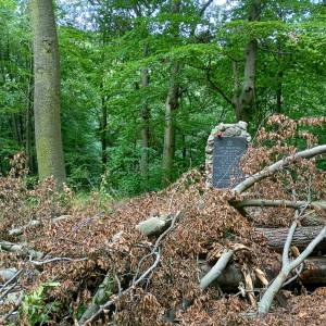 Obelisk majora Wrzoska w Złotym Potoku - symboliczna mogila majora wrzoska w zlotym potoku 2
