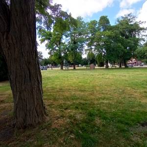 Kamień runiczny w Wolinie - kamien runiczny w wolinie 3