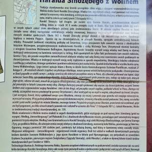 Kamień runiczny w Wolinie - kamien runiczny w wolinie 6