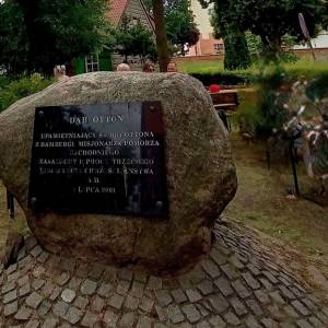 Dąb Otton w Kamieniu Pomorskim - dab otton w kamieniu pomorskim 5