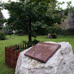 Dąb Papieski w Kowarach - dab papieski w kowarach 4