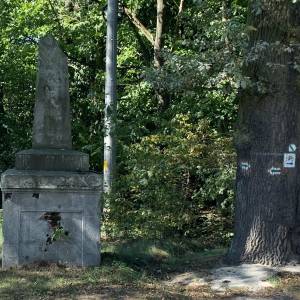 Pomnik poległych w wojnach pruskich w Radomierowicach - pomnik poleglych w wojnach pruskich w radomierowicach 2