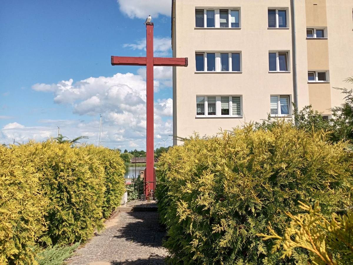 Ruiny kościoła św. Jerzego w Wolinie - ruiny kosciola sw jerzego w wolinie 9