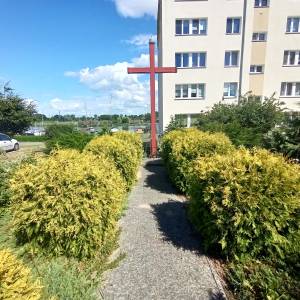 Ruiny kościoła św. Jerzego w Wolinie - ruiny kosciola sw jerzego w wolinie 8