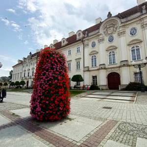 Pałac Schaffgotschów w Cieplicach (Jelenia Góra) - palac schaffgotschow w cieplicach 6
