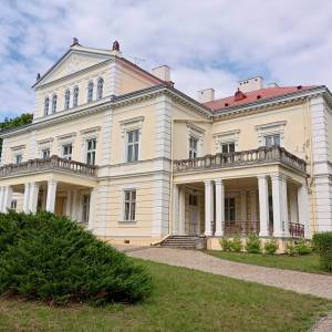 Pałac Raczyńskich w Złotym Potoku - palac raczynskich w zlotym potoku 9