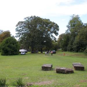 Dwór w Wieruszycach - dwor w wieruszycach 15