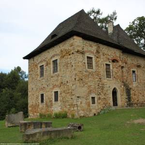 Dwór w Wieruszycach - dwor w wieruszycach 4