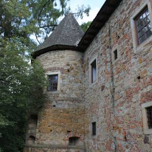 Dwór w Wieruszycach - dwor w wieruszycach 5