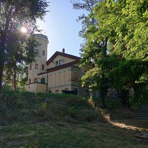 Pałac Kursko - palac kursko 2025 7