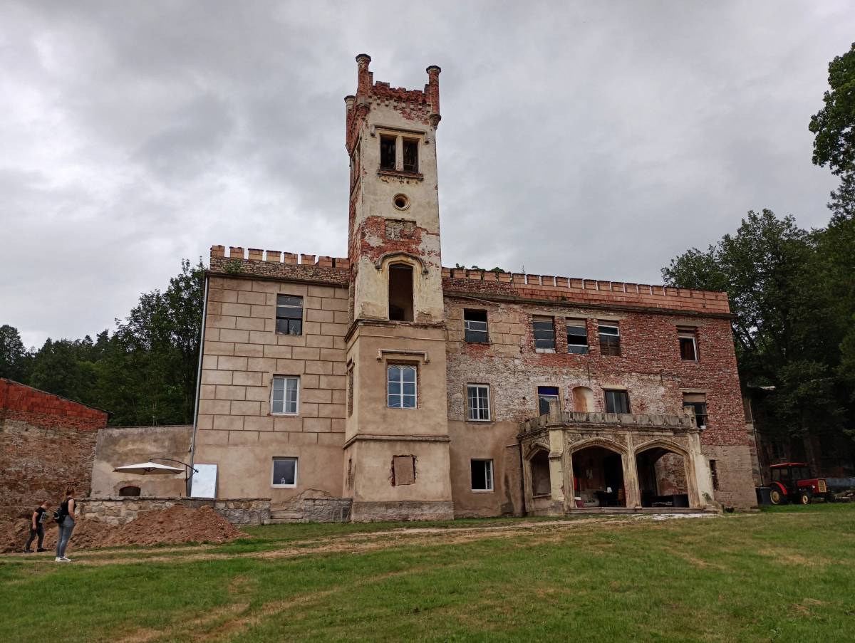 Pałac w Dąbrowicy - palac w dabrowicy 10