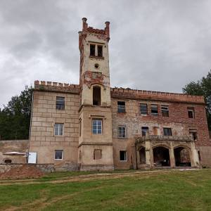 Pałac w Dąbrowicy - palac w dabrowicy 10