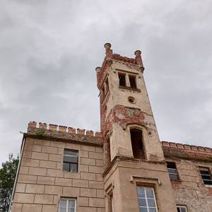 Pałac w Dąbrowicy - palac w dabrowicy 2