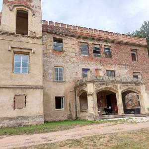 Pałac w Dąbrowicy - palac w dabrowicy 3