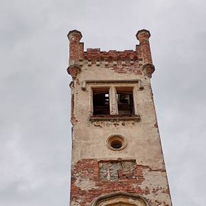 Pałac w Dąbrowicy - palac w dabrowicy 4