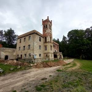 Pałac w Dąbrowicy - palac w dabrowicy 6