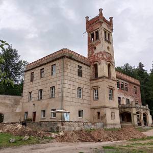 Pałac w Dąbrowicy - palac w dabrowicy 7