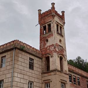 Pałac w Dąbrowicy - palac w dabrowicy 8