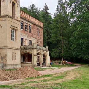 Pałac w Dąbrowicy - palac w dabrowicy 9