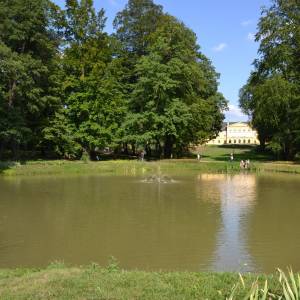 Pałac w Koszęcinie - dsc 0548