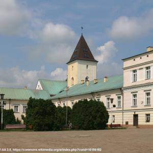 Pałac w Koszęcinie - koszecin palace 02